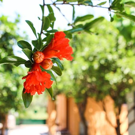 Xristina Studios Vasiliki  Ngoại thất bức ảnh